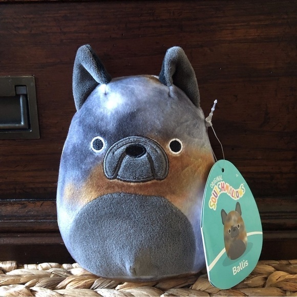 Squishmallows: Ballis the dog in size 5” - Picture 1 of 7